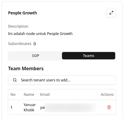 Organization Structure Teams