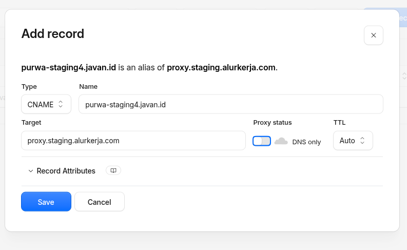 Form penambahan record CNAME dengan Proxy status DNS only